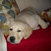 Michelle Staton's photo