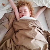 Amanda Sokoloff Whiteさんの写真