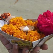 Meeta Malhotra's photo