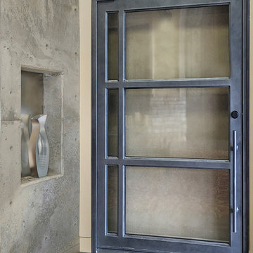Contemporary/Modern Iron Doors