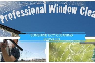 WIndow Cleaning