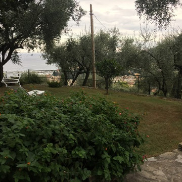 Mediterraneo