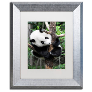 Philippe Hugonnard Giant Panda V Art Contemporary Photographs By Trademark Global