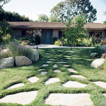 Landscape Ideas