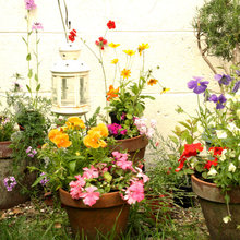 Gardening