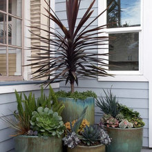 Landscape Ideas