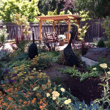 Menlo Park Drought Tolerant Garden