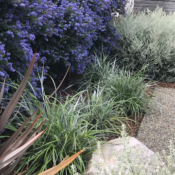 Hayward mid century