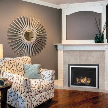 Gas Fireplace Inserts