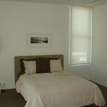 Motorized shades