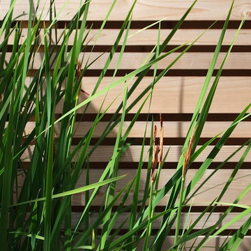 Laurelhurst Garden + Studio