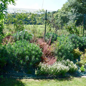 Jardin Zen