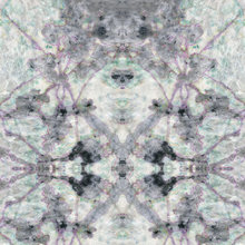 renata_holmes's Ideas