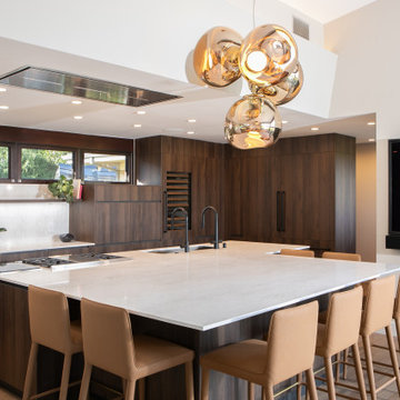 Mid century contemporary house