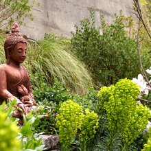 landscape ideas on houzz