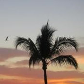 Debbie Faith's photo