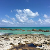 Emily W's photo