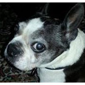 Barbara Gregory's photo
