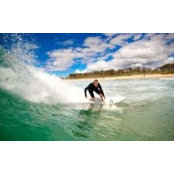 Nic Sabics foto
