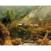 Foto de Raju's Cottage Goshaini-Tirthan Valley
