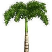 Sexton Palmss foto