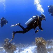 Amr Anwar's photo