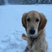 Ann Stimer's photo