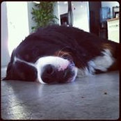Alex Bhattacharji's photo