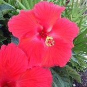 Colleen Arnold's photo