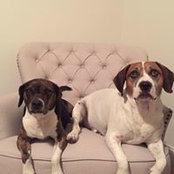 Alison Hecker's photo