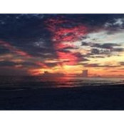 Megan Mattingly's photo