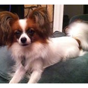 Kevin Ledford's photo