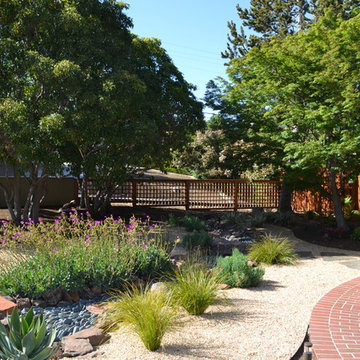 Drought tolerant landscape