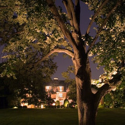 Landscape Lighting - Lighting