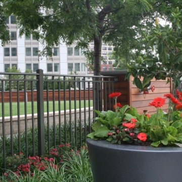 Amenities Roof