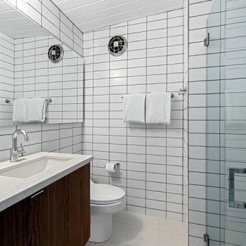 Mid Century Modern Alexander Renovation