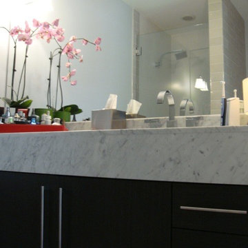 San Francisco Mission Contemporary Bathroom