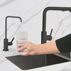 STYLISH Single Handle Stainless Steel Matte Black Drinking Water Kitchen Faucet