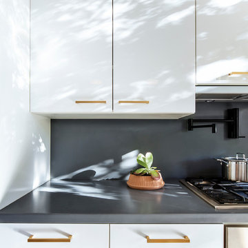 Boerum Hill Townhouse Kitchen
