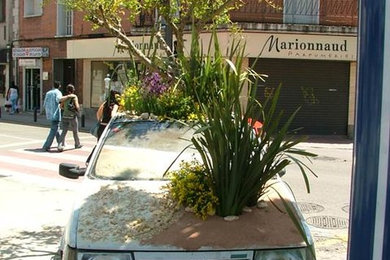 proyectos realizados