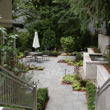 outdoor landscape