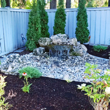 Backyard Oasis