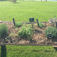Childrens Garden