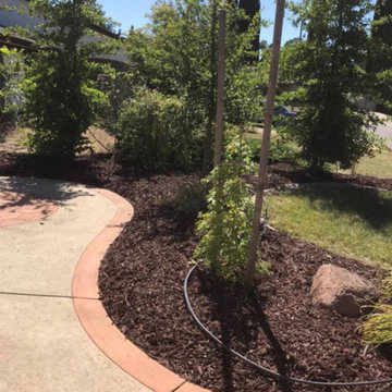Landscape Projects