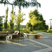 stamped concrete