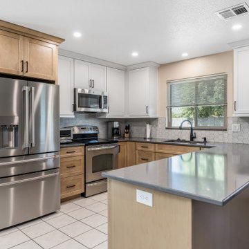 Sal & Leslie's Kitchen Renovation