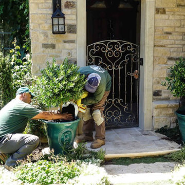 Exterior Work