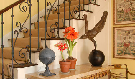 Exotischer Winterblüher: Pflegetipps für Amaryllis