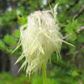 Artemis Panagopoulos's photo