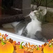 Suzanne Wulff's photo